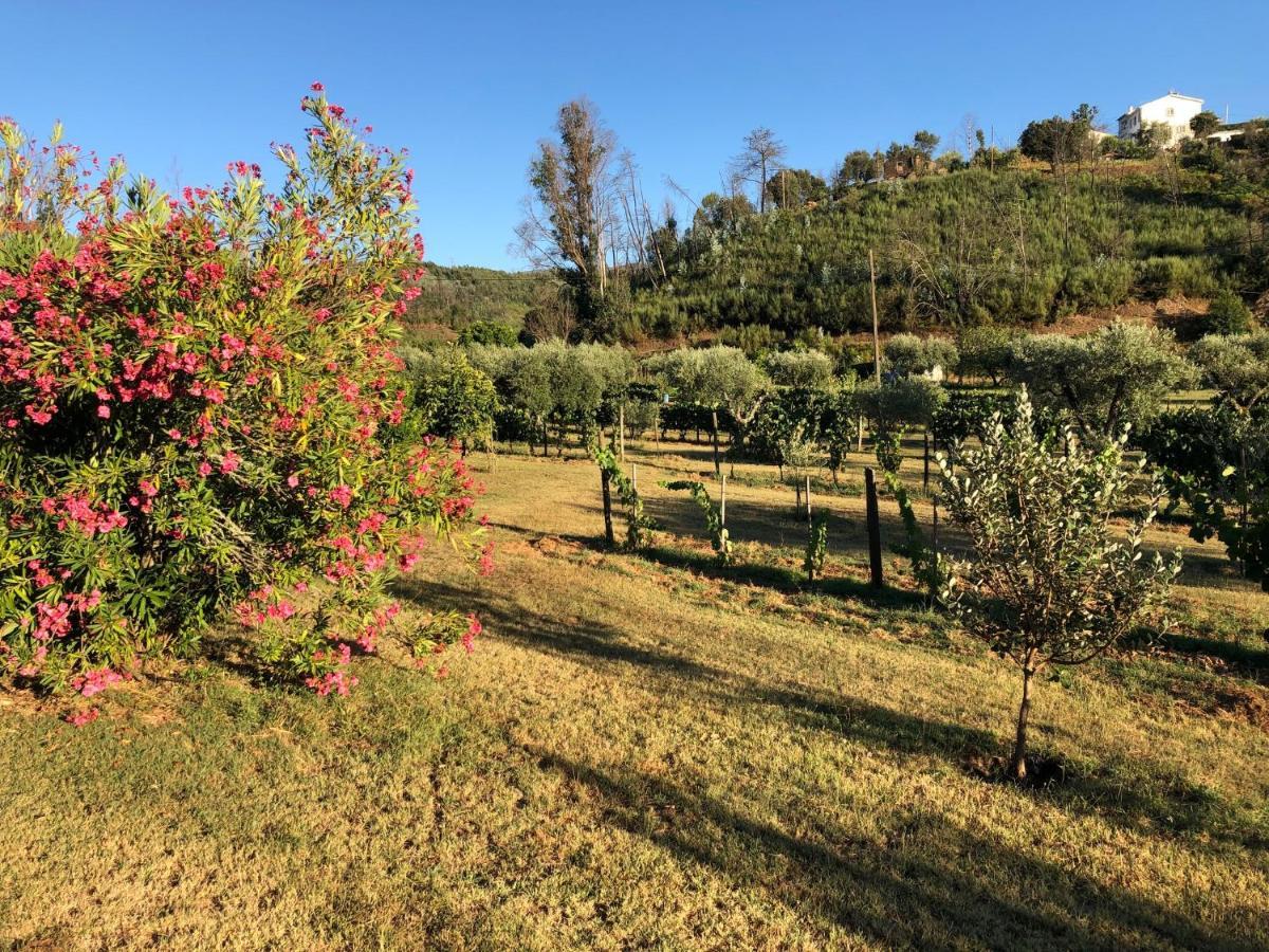 Casa da Menina Villa Anceriz Esterno foto